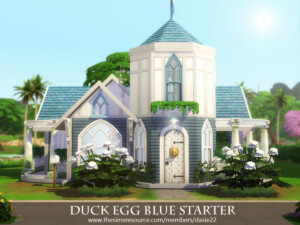 Duck Egg Blue Starter by dasie2 at TSR