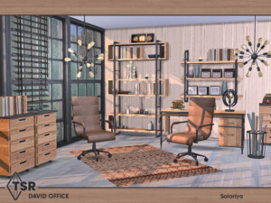 David Office by soloriya at TSR