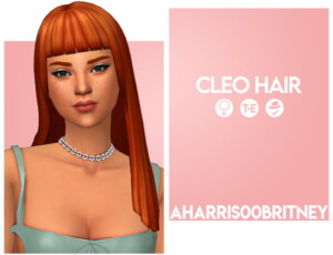 Cleo Hair at AHarris00Britney