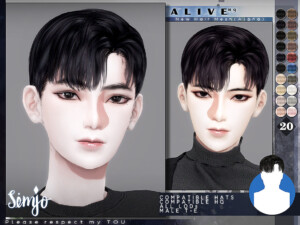 Male Hairstyle Alive by KIMSimjo at TSR