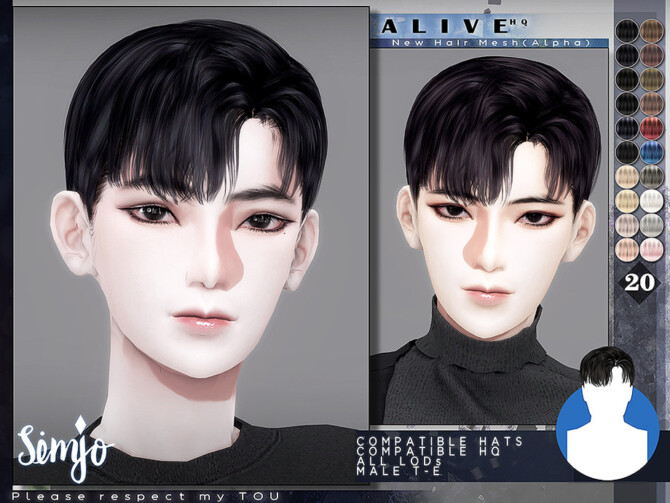 Sims 4 Male Hairstyle Alive by KIMSimjo at TSR