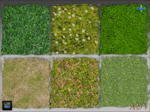 Terrain paints grass at Arte Della Vita