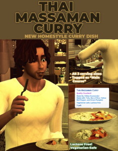 Thai Massaman Curry New Custom Recipe by RobinKLocksley at Mod The Sims 4
