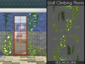 Wall Climbing Plants at Descargas Sims