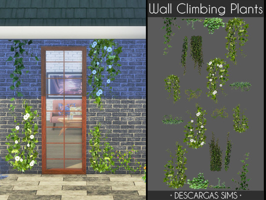 Sims 4 Wall Climbing Plants at Descargas Sims