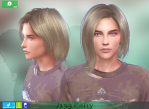 Perry Hairstyle(male) at Newsea Sims 4