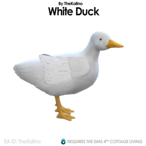 White Duck at Kalino