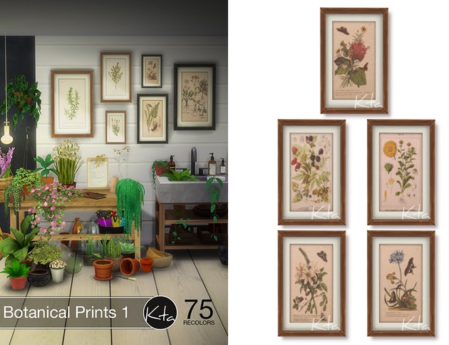 Sims 4 Botanical Prints 1 at Ktasims