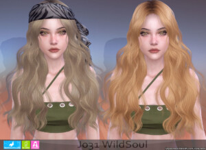 WildSoul Hair at Newsea Sims 4