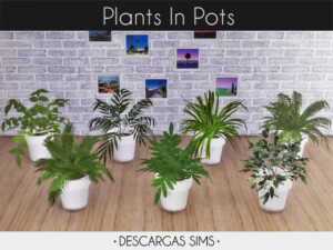 Plants In Pots at Descargas Sims