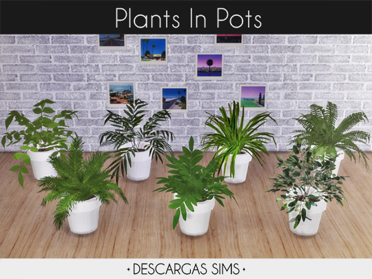 Sims 4 Plants In Pots at Descargas Sims