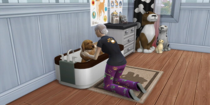 Dog Groomer Career By Hexesims At Mod The Sims 4