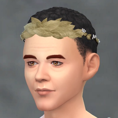 Sims 4 Marriage Officiant Toga & Leaves Crown for All Ages at Medieval Sim Tailor