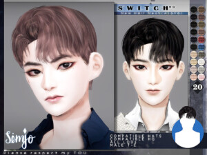 Male Hair Switch by KIMSimjo at TSR