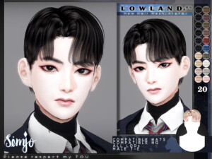 Male Hair Lowland A by KIMSimjo at TSR