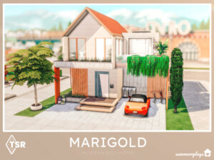 Marigold – Modern Eco Home by Summerr Plays at TSR