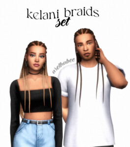 Kelani braids set at Arethabee