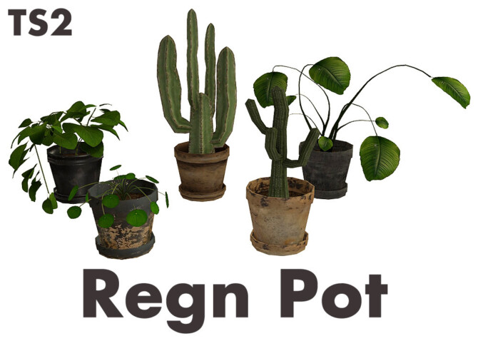 Sims 4 Regn Pot at Riekus13