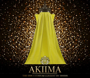 AKIIMA GOWN at MSSIMS