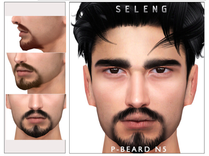 Sims 4 P Beard N5 by Seleng at TSR